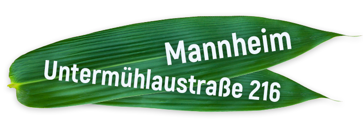 Yam Yam Lieferservice Mannheim